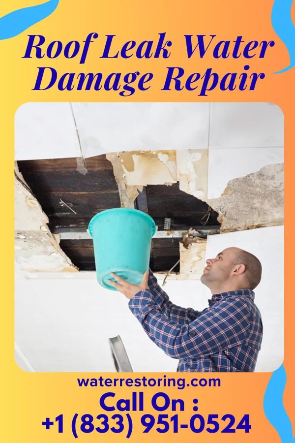 Roof Leak Water Damage Repair in Hardy, NE